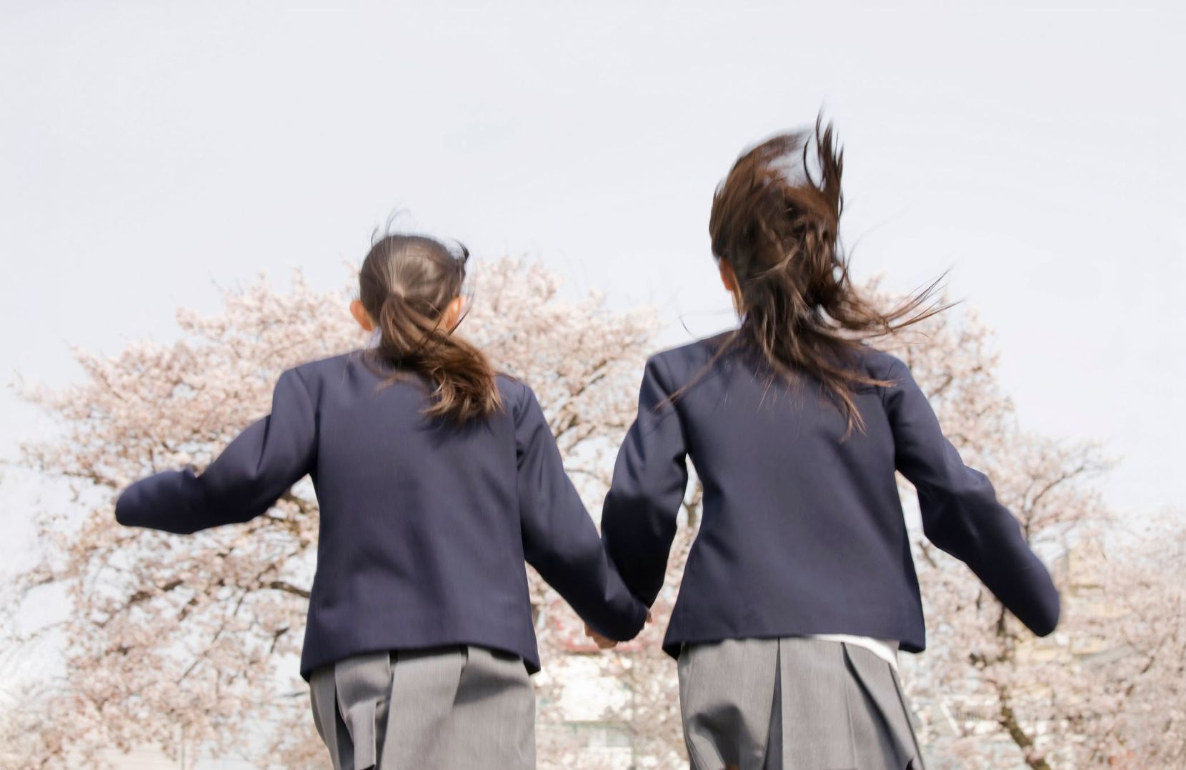 ハンガー通販専門店｜ハンガーのながしお