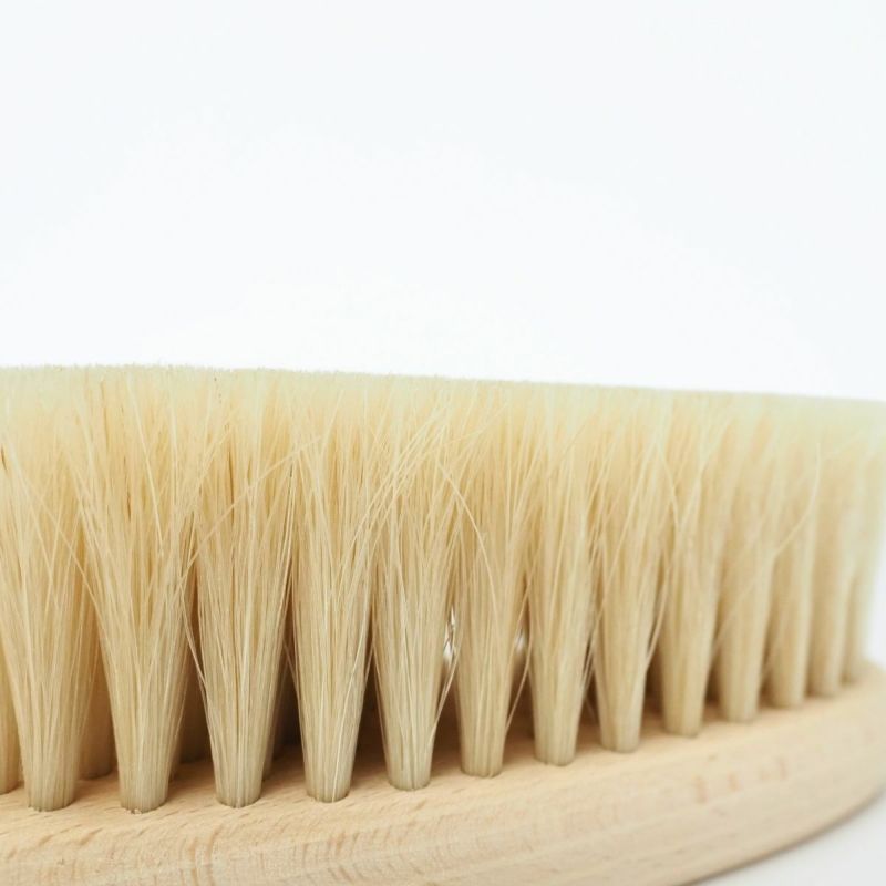 アートブラシ　洋服ブラシ オーバル 桐箱入り