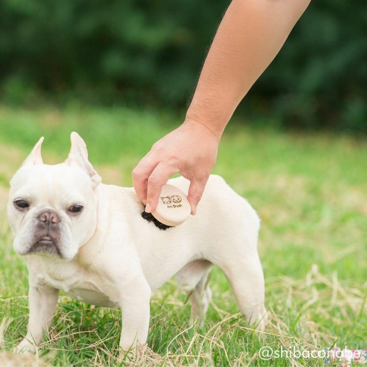 わんにゃんマッサージブラシ　「あのこのて」