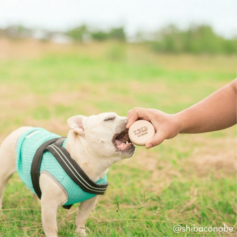 わんにゃんマッサージブラシ　「あのこのて」