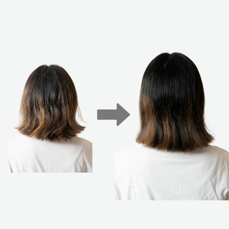 猪毛ヘアブラシ　「かみわざ」