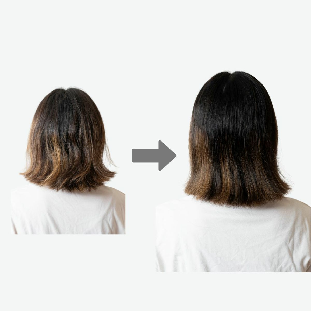 猪毛ヘアブラシ　「かみわざ」