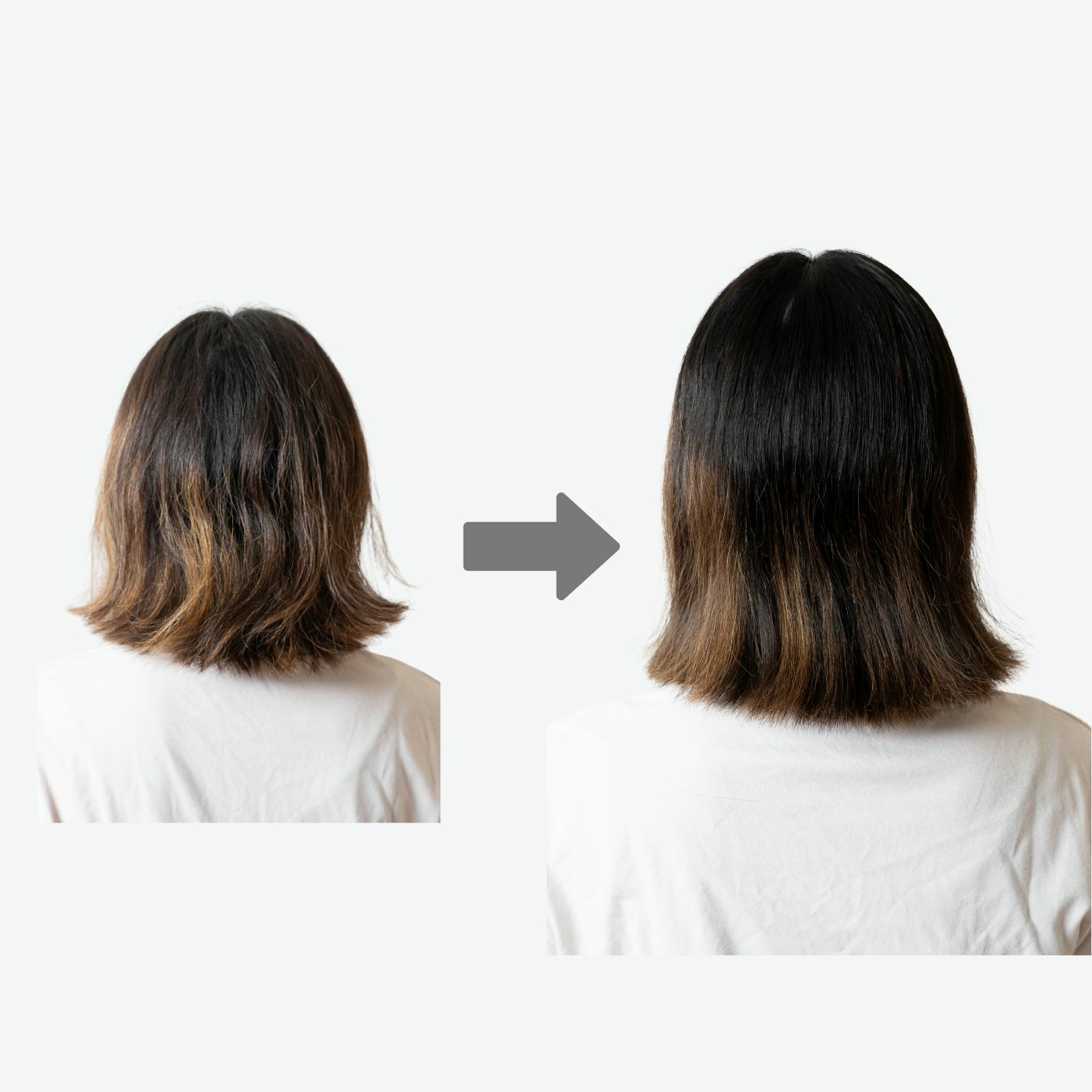 猪毛ヘアブラシ　「かみわざ」
